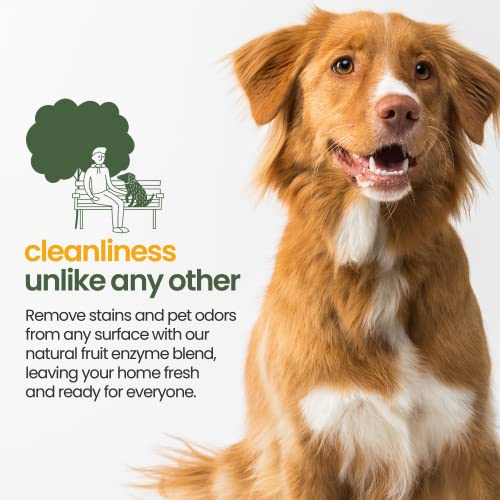 Gerrard Larriett Aromatherapy Pet Care : Removedor Natural de Manchas E Odores para Animais de Estim