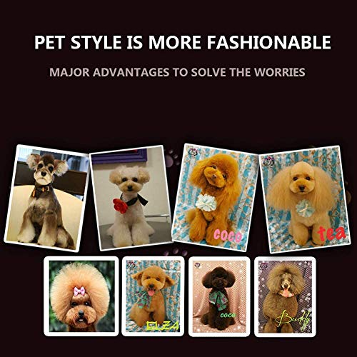 Yoport Professional Pet Hair Clipper,LCD Power Display Dog Trimmer Pet Grooming Tool Low Noise Rechargeable Cordless Cat and Dog Fader with 4 Combs, Pet Grooming Set - Thumbnail 5