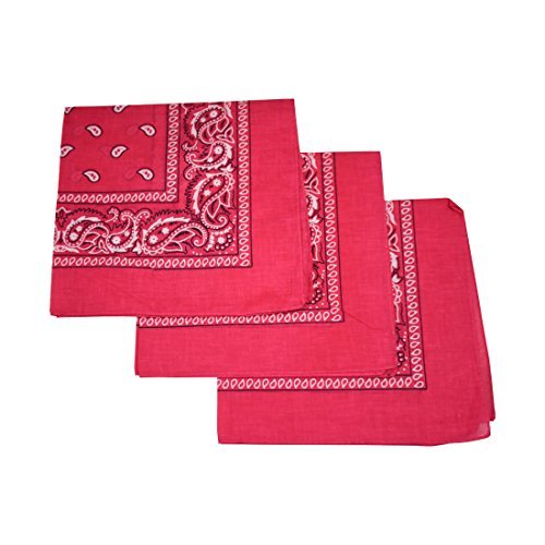Motique Accessories Set of 3 Paisley Bandanas 100% Cotton 22 Inch Head Scarf Neck Bandana Face Cover (Hot Pink)