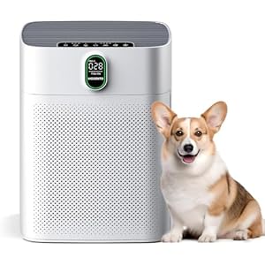 MORENTO Air Purifiers for Home Large Room up to 1076 Sq Ft with PM 2.5 Display Air Quality Sensor for Pet Hair, Double-Sided Air Inlet, 24db, White, 1 Pack + 2 Pack Filters