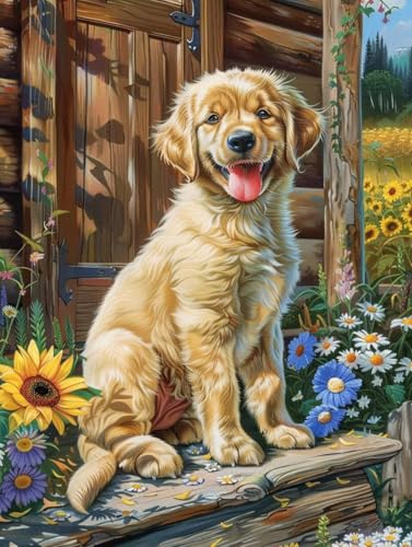 Kit Casa Manualidades de Pintar Perros por Números Regalo para Creativos