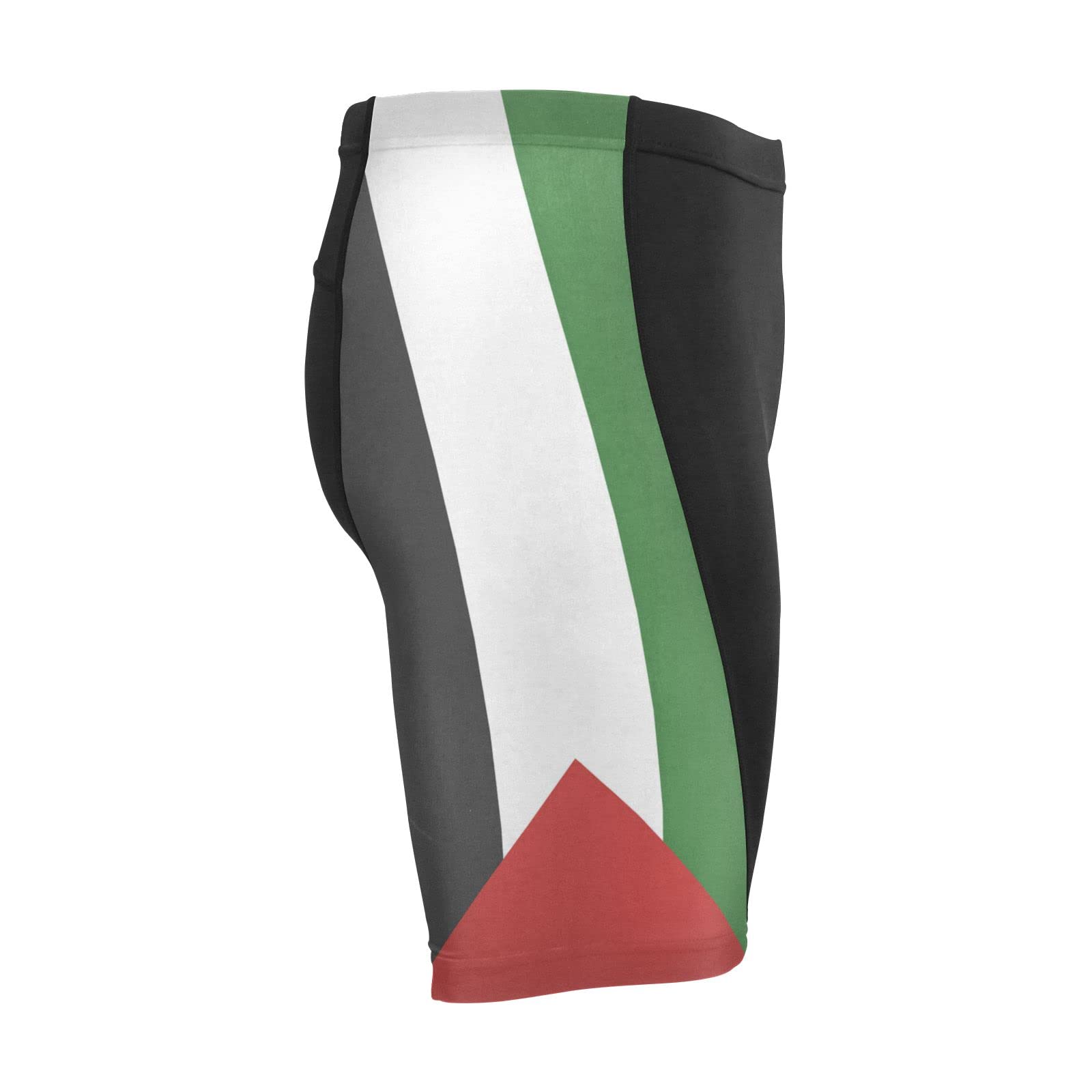 Palestine Flag Men's Bike Shorts Padded Cycling Bicycle Biking Shorts Tight Multicolor