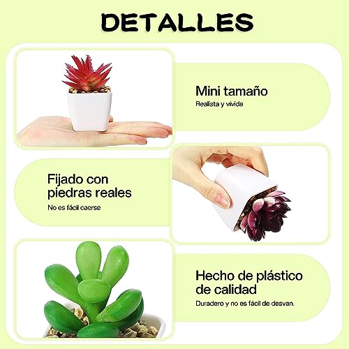 La mejor comparación de Mini macetas decorativas para comprar hoy. 20 Imagen adicional
