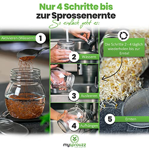 my sprouzz Sprossenglas Keimglas Set | Sprossenglas mit Samen und Kressesieb | Keimglas für Sprossen incl. E-Book | Sprossen Keimgerät Keimschalen für Sprossen | - Image 5