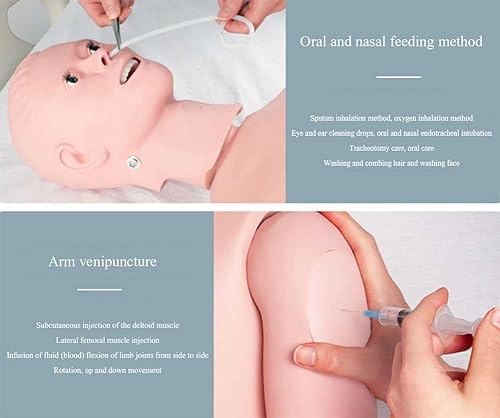 Miniatura 2 de GHDE&MD Maniquí de entrenamiento de 63.0 in con genitales intercambiables para enfermería, entrenamiento médico, enseñanza, suministros médicos