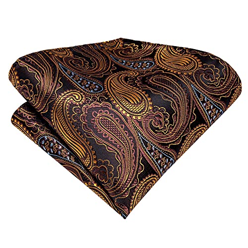Hi-Tie Silk Paisley Necktie and Pocket Square Cufflinks Set
