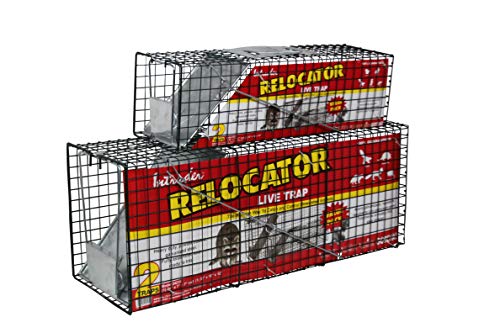 Find The Best Live Trap For Raccoons Reviews & Comparison - Katynel