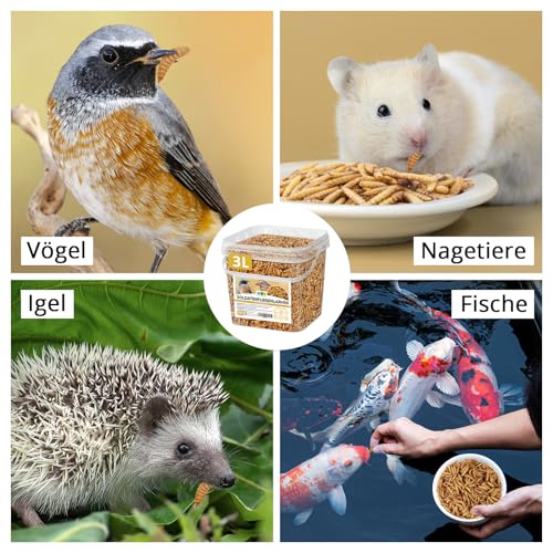 EWL Naturprodukte Soldatenfliegenlarven getrocknet 3 L (460 g), Premium Insektensnack Vögel, Fische, Schildkröten, Nager, Reptilien, Vogelfutter, Wildvögel, Ganzjährig Eichhörnchenfutter, Igelfutter
