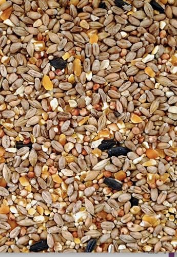 Maltbys' Stores 1904 Limited Everyday Mixture 5kg Premium Wild Bird Food Garden Seed Feed