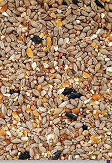 Maltbys' Stores 1904 Limited Everyday Mixture 5kg Premium Wild Bird Food Garden Seed Feed