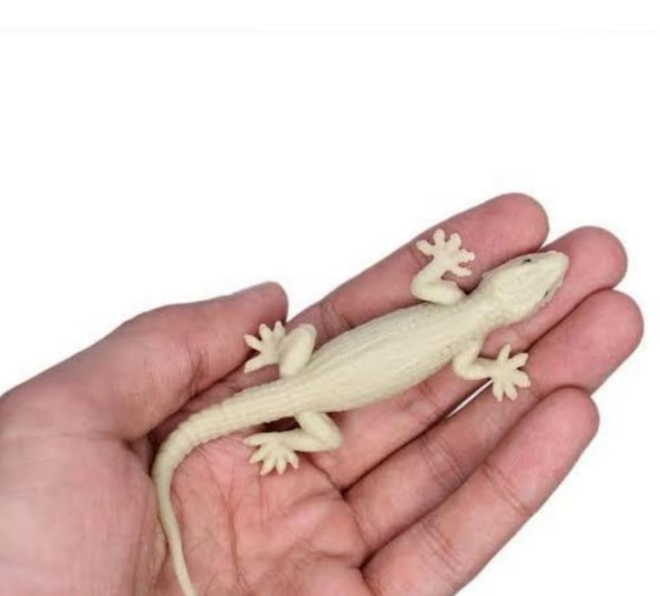 Vashe Jagmoolya Products Fake Lizard House Gecko Rubber Practical Jokes And Prank Trick Toys (Pack Of 6) - 6 Years And Up, Brown (B0CN9H2PC8) Amazon Price History, Amazon Price Tracker