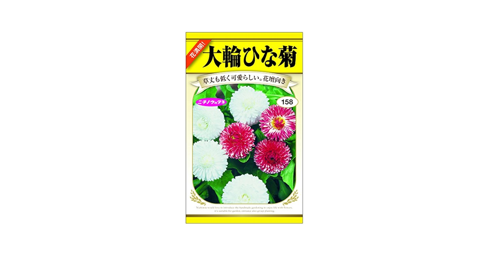 Amazon | 日本農産種苗 大輪ひな菊のタネ 414489 | 花