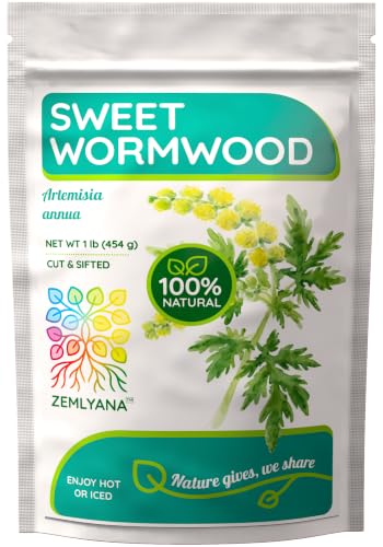 Sweet Wormwood Artemisia nnua Tea - Dried Cut & Sifted Herb 1lb