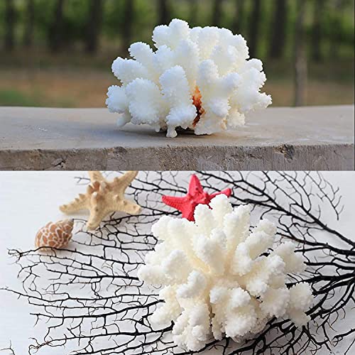 Pack de 2 Corales Blancos Decorativos de Resina miniatura 7