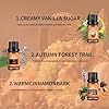 Autumn Essential Oils Set – 6x10ml Seasonal Diffuser Oils Including Pumpkin Spice, Apple Cider & Cinnamon – Essential Oils for Diffusers for Home, Cosy Autumn Scents for Aromatherapy #2