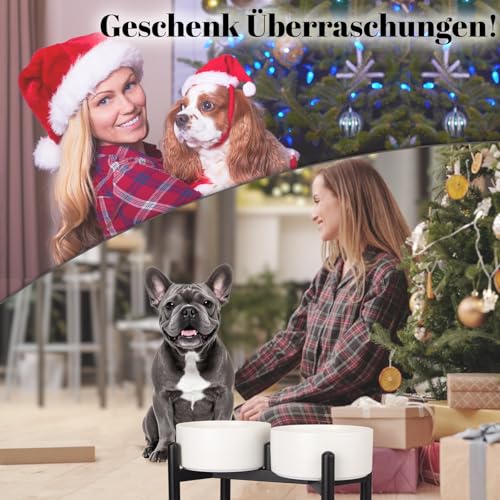 Futternapf Hund Erhöht Hundenapf Set - Doppelte Fressnapf Keramik mit Edelstahlständer - Ideal für Kleine und Mittelgroße Hunde - 850 ml x 2 - Grau