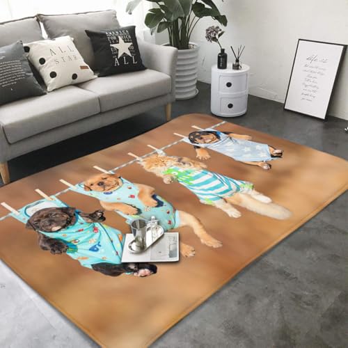 J[ybg  lR  ʔ O}bg oX}bg O~ tA}bg ӂ}bg փ}bg ybg}bg ~ߕt lC  ` 􂦂  ƒp p 100 × 150cm