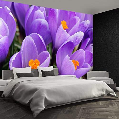 Papier Peint Moderne Grand Format Décoration Murale Durable Crocus Violets 416x254cm - 4
