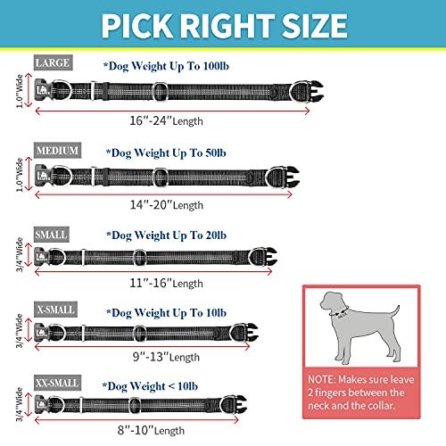 Baapet Comfortable Dog Collar With Double Security Dual D-Ring And Id Tag Hanger For Small Puppy, Medium And Large Dogs (S - 3/4" X (11"-16"), Black) #TOP3