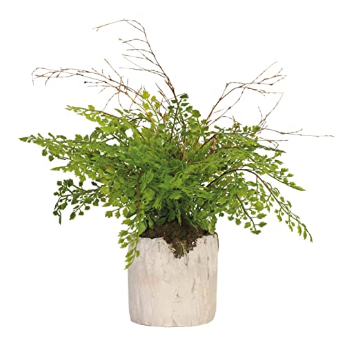 Blooming Artificial - Artificial Fern in Pot for the House, Maidenhair Fern, Year-Round Decorative Foliage for the Home and Office, Charming and Colourful (Green) (30cm)