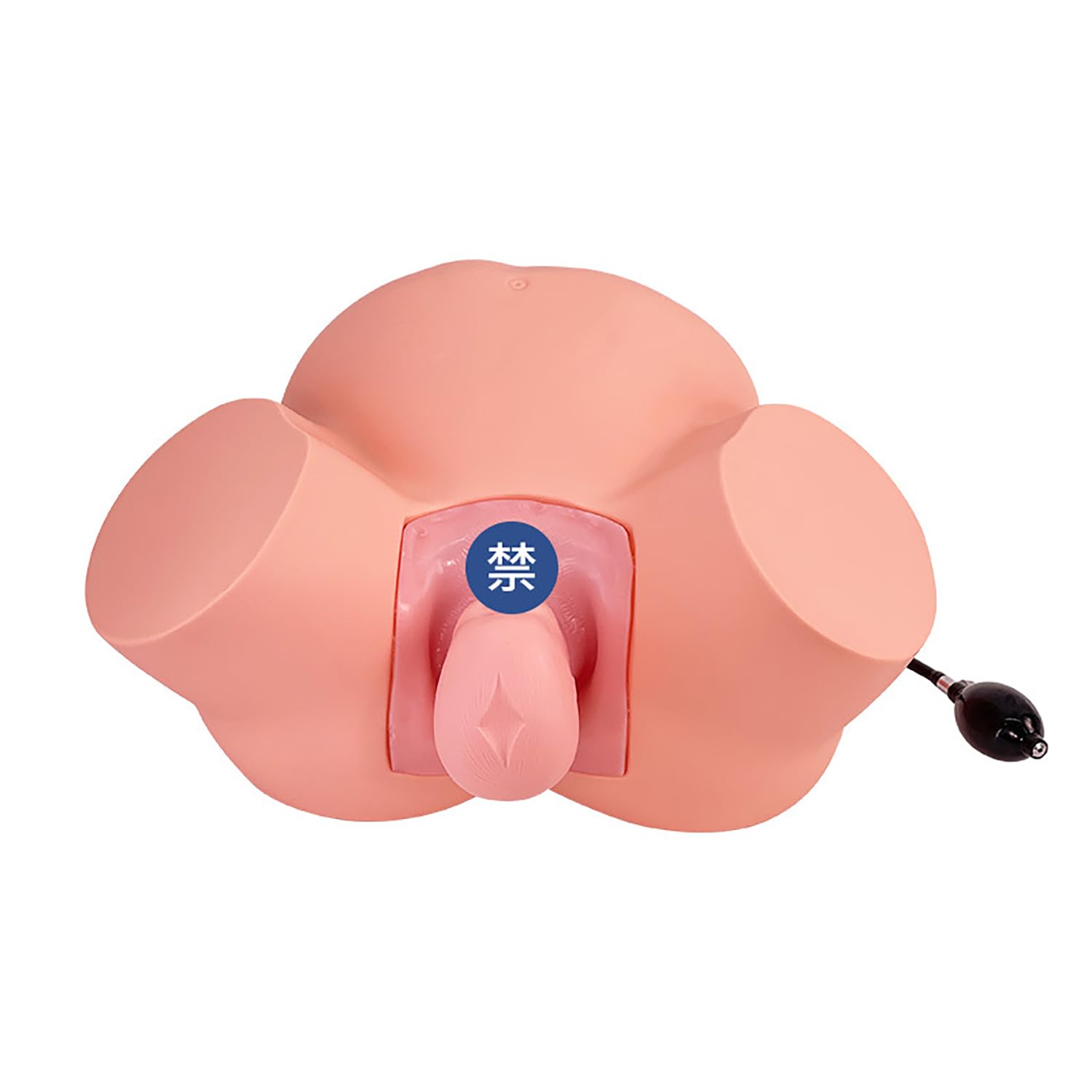 Simulador de Entrenamiento Modelo de Parto, Maniquí de Parto Femenino de Demostración, Modelo de Entrenamiento de Partería Multifunción Maniquí de Maternidad para Parto de Obstetricia y Ginecología