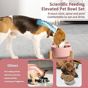 Elevated Ceramic Dog Bowl, 3.6 Cups Dog Food and Water Bowl Set with Stand