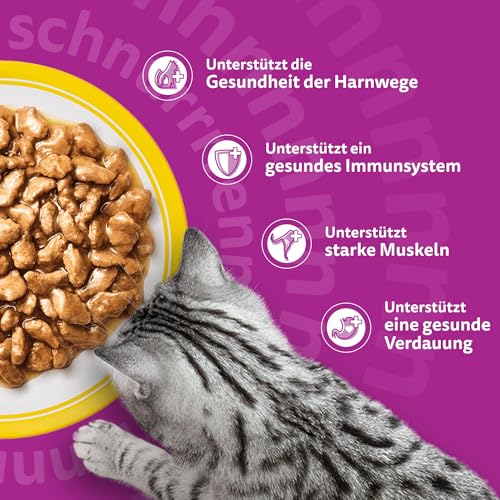 Whiskas 7+ Katzenfutter Geflügel in Sauce, 28x85g (1 Packung) – Hochwertiges Nassfutter ab dem 7. Lebensjahr in 28 Portionsbeuteln – Für die Bewahrung der Vitalität 5