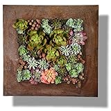 Modern Home Living Wall Galvanized Steel/Zinc Succulent Planter, Wall Mounted Garden Pocket Planter (16 Pocket, Rust Zinc)