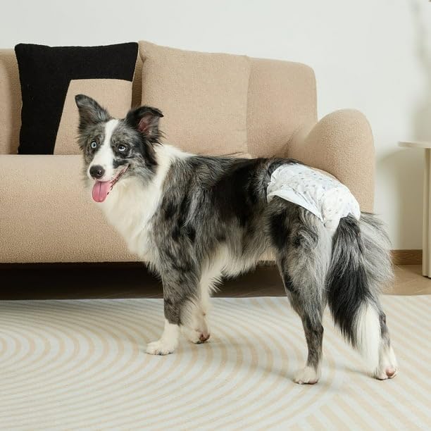 Disposable Dog Diapers for Female Dogs, M, 12 Count - The Inner Core is Super Absorbent and The Diaper Has Repositionable Fasteners, Super-Absorbent Core