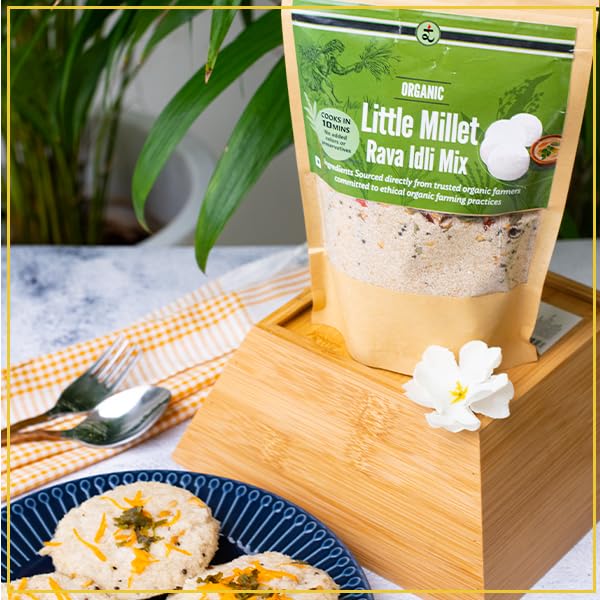 Rootz Organics Little Millet Rava Idli Mix, Quick Breakfast, Instant Ready to Cook Mix (100gram) (B0DBYWZNTP) Amazon Price History, Amazon Price Tracker