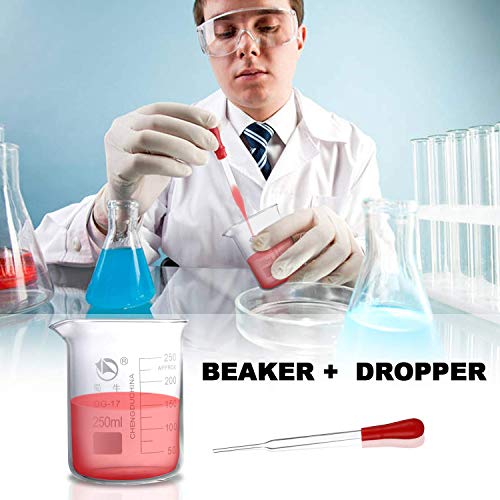 Rngeo Glass Beakers, Pack of 6 Low Form Measuring & Droppers Set, 3 Graduated Griffin Beakers in 3 Sizes with Scales, 250ml, 100ml, 50ml, 3 Glass Droppers Without Scales (3ml per Drop) by Rngeo - Image 6