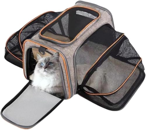 VinebeautifulL L[ obO lʊg\ 2WAY bN ybgnEX L[ E^LpE^Ep V[gxgŒ\ ܂肽 ʋC LCȂ ~ɋ p/o/hCu/s/ʉ@/h 