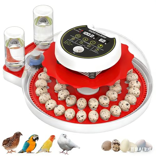 Quail Egg Incubator for Hatching 40 Quail Eggs with Automatic Turner and Humidity Control, Small Brooder, Outdoor Poultry Egg Incubator, Suitable for Parrot Canary and Other Bird