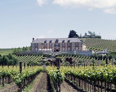 Domaine Carneros Photos 2025