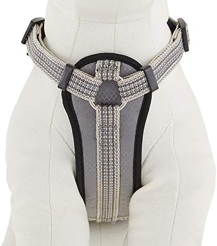 kong harness pocket