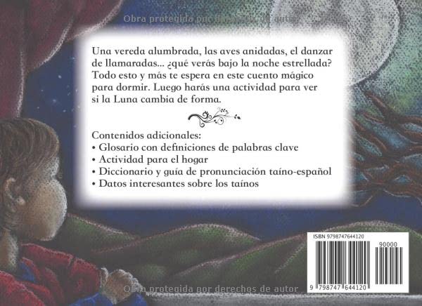 Vista 2 de Una noche estrellada (Spanish Edition)