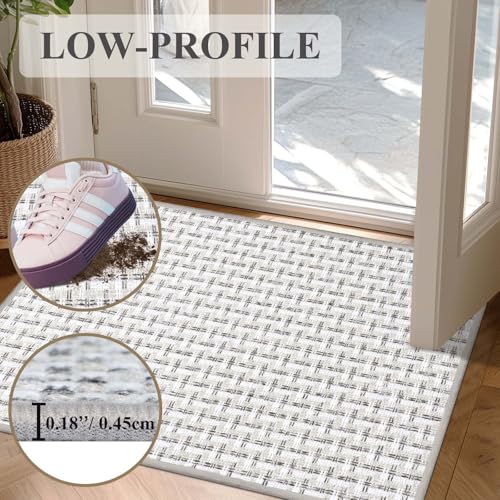 Homcomodar Dünn Fussmatte Innen 41x61cm Schmutzfangmatte Innen, Teppiche für den Eingangsbereich, Fußmatte Innen, rutschfest, Keine Faltspuren Fußmatte Haustür, Eingangsmatte, Grau
