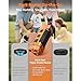 QorixVizi Dog Bark Deterrent Devices Rechargeable Ultrasonic Bark Control, 35FT Range Anti-Barking Device for Dogs Training, Safe Effective Indoor Outdoor Use Portable Design, Orange