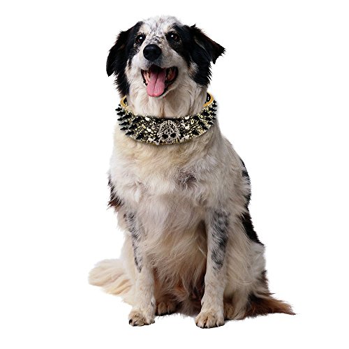 Beirui Spiked Leather Dog Collar - 3 Rows Bullet Rivets Studded PU Leather - Cool Skull Pet Accessories Best Choice for Medium and Large Dogs,Bronze 21-24"