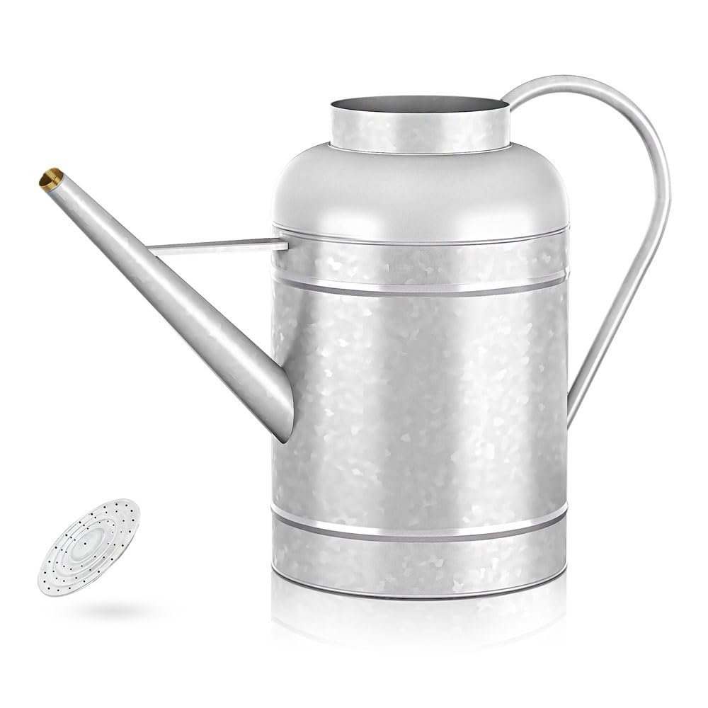 LONGRUN 9L Galvanised Steel Watering Can with Detachable Rose Sprinkler, Ergonomic Non-slip Handle, Durable Rustproof Gardening Can for Indoor Outdoor Lawn Yard Potted Plants — image 1
