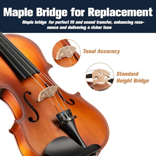 Image of Mendini By Cecilio 1 /2 Violin Set For Beginners - Fiddle Solidwood Kit with Hard Case - Acoustic Violin with Bow, Rosin, Tuner, Extra Strings & Bridge, Shoulder Rest and Lesson Book (Satin Antique)