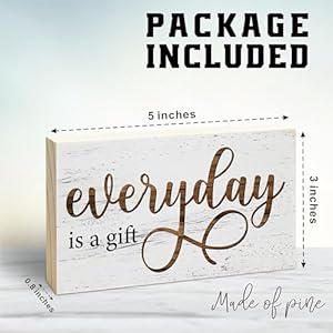 Rustic Wooden Block Sign Everyday Is A Gift 5X3 Postive Pine Wood Plaque Home Garden Decor Housewarming Gift For Friends Desk Tabletop Shelf Accessories A14