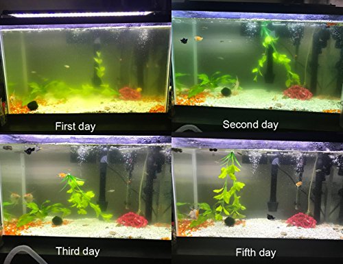 COODIA Internal Green Water Killer Filter Aquarium Tank U-V Pump - Image 3