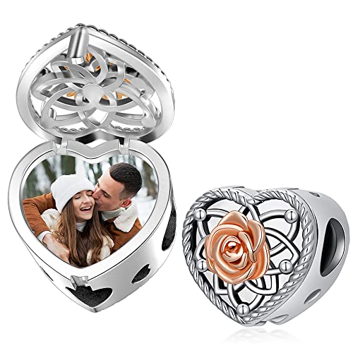 Personalized Photo Sunflower/Butterfly/Wolf/Sloth/Santa Clause/Tropical Fish/Elephant Charms for Bracelets 925 Sterling Silver Christmas Charm Bead for Women Mothers Valentines Day Gift