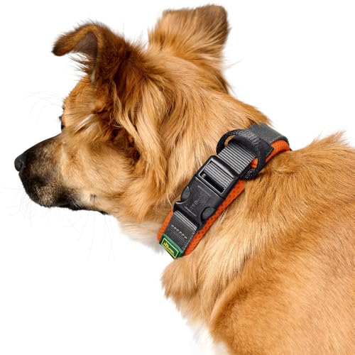 Hunter Halsband Maldon, Farbe: orange, atmungsaktives Mesh, Robustes Nylon, lautlos & allergikerfreundlich, Zugentlastung, integriertes Adresslabel, besonders leicht, Größe: M