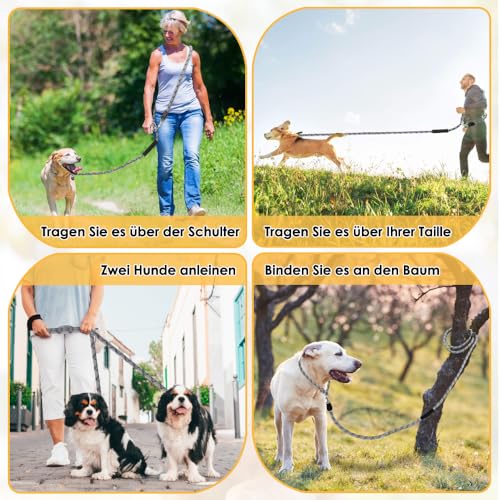 Eyein Hundeleine 3m für Kleine mittelgroße Hunde, 8in1 Schleppleine mit 3 Verstellbare Schnalle und Griffen, Reflektierende Doppelleine für 2 Hunde - Unter 100KG, Verdickte Freihandleinen, Hellgrau