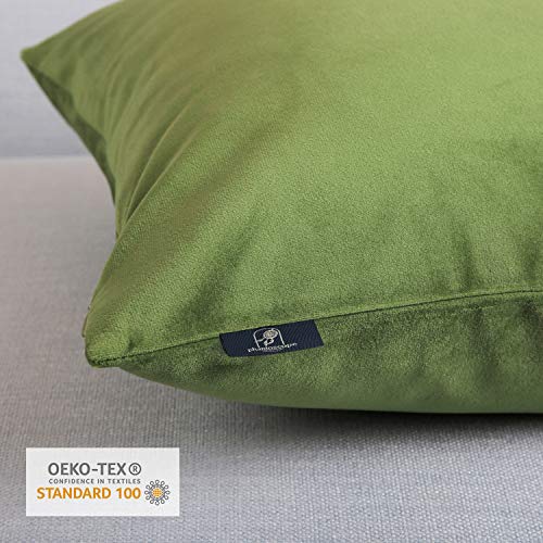Phantoscope Pack of 2 Velvet Decorative Throw Decorative Pillow Cover Soft Solid Square Cushion Case for Couch Green 26 x 26 inches 65 x 65 cm