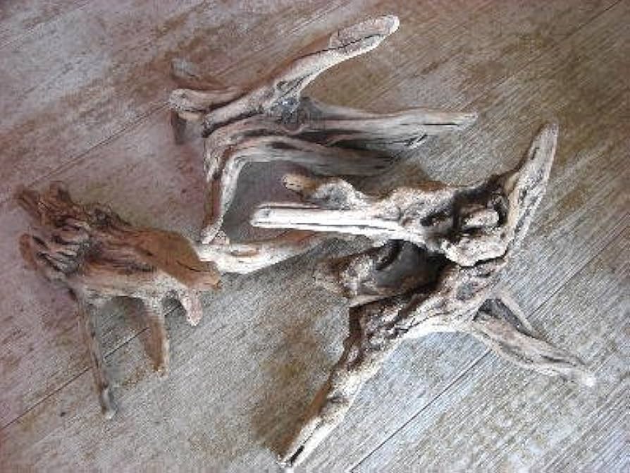 装飾用最高級流木★マングローブ系プレミアム Amazon.co.jp: プレミアム マングローブ系 流木 : ペット用品