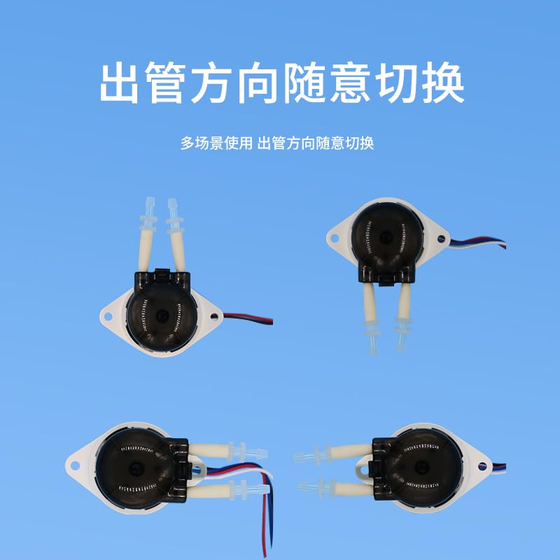 BP200 42 Stepper Motor Micro Peristaltic Pump High Small Laboratory Water Suction Pump - (Color: 6)