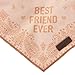 Reddy BFF Dog Bandana, Small/Medium, Blush